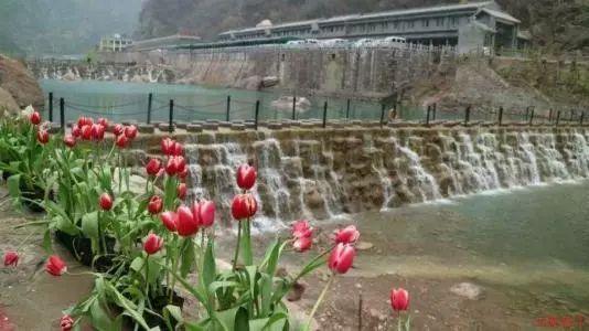 孩子不爱学习，怎么办？游戏画面