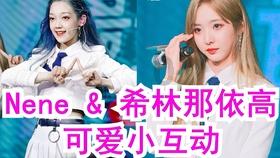 酷跑跑加下载安装知识星球平台,实力导师传授独家知识